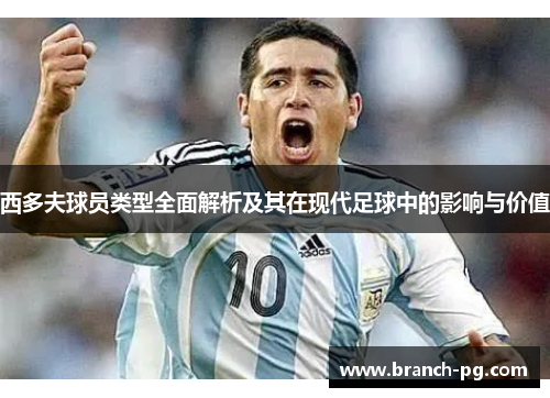 西多夫球员类型全面解析及其在现代足球中的影响与价值