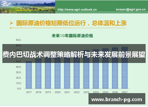 费内巴切战术调整策略解析与未来发展前景展望