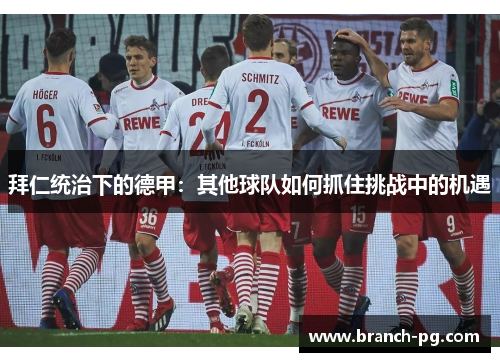 拜仁统治下的德甲：其他球队如何抓住挑战中的机遇