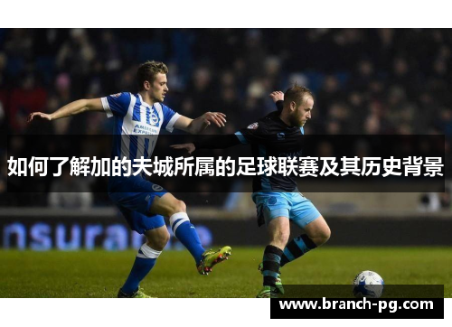 如何了解加的夫城所属的足球联赛及其历史背景