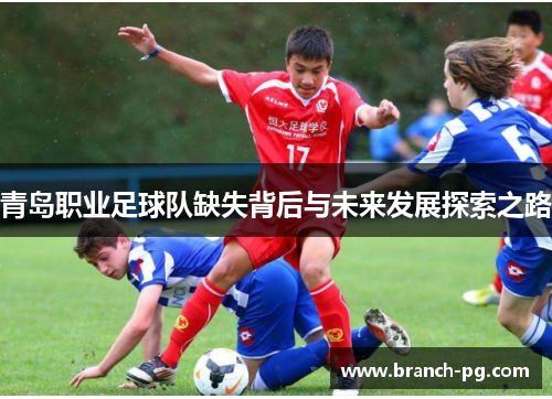 青岛职业足球队缺失背后与未来发展探索之路