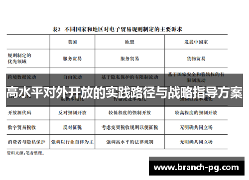 高水平对外开放的实践路径与战略指导方案