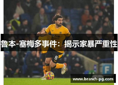 鲁本-塞梅多事件：揭示家暴严重性