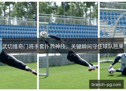 武切维奇门将手套扑救神技，关键瞬间守住球队胜果